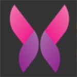 香蕉爱视频播放器
